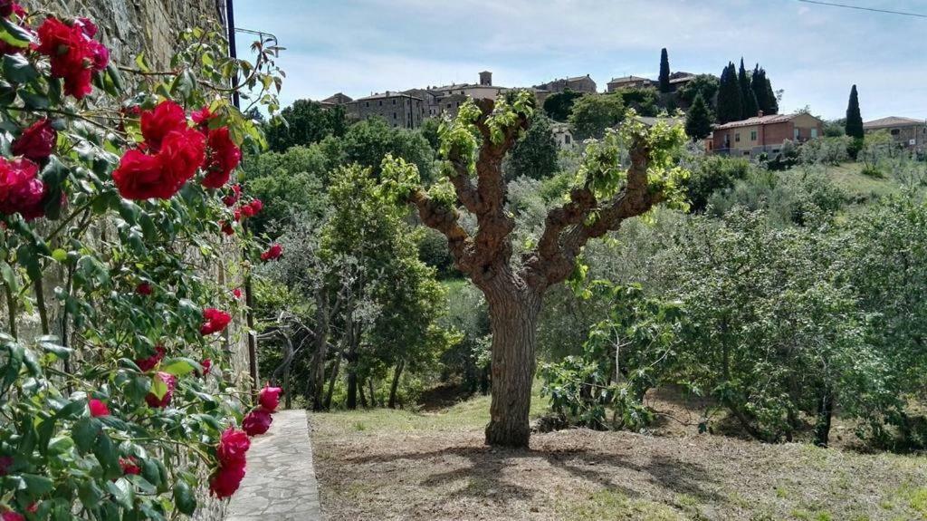 Colombaio In Colle Sant'Angelo in Colle Exterior foto
